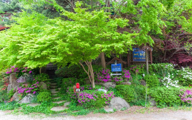 메인갤러리-2